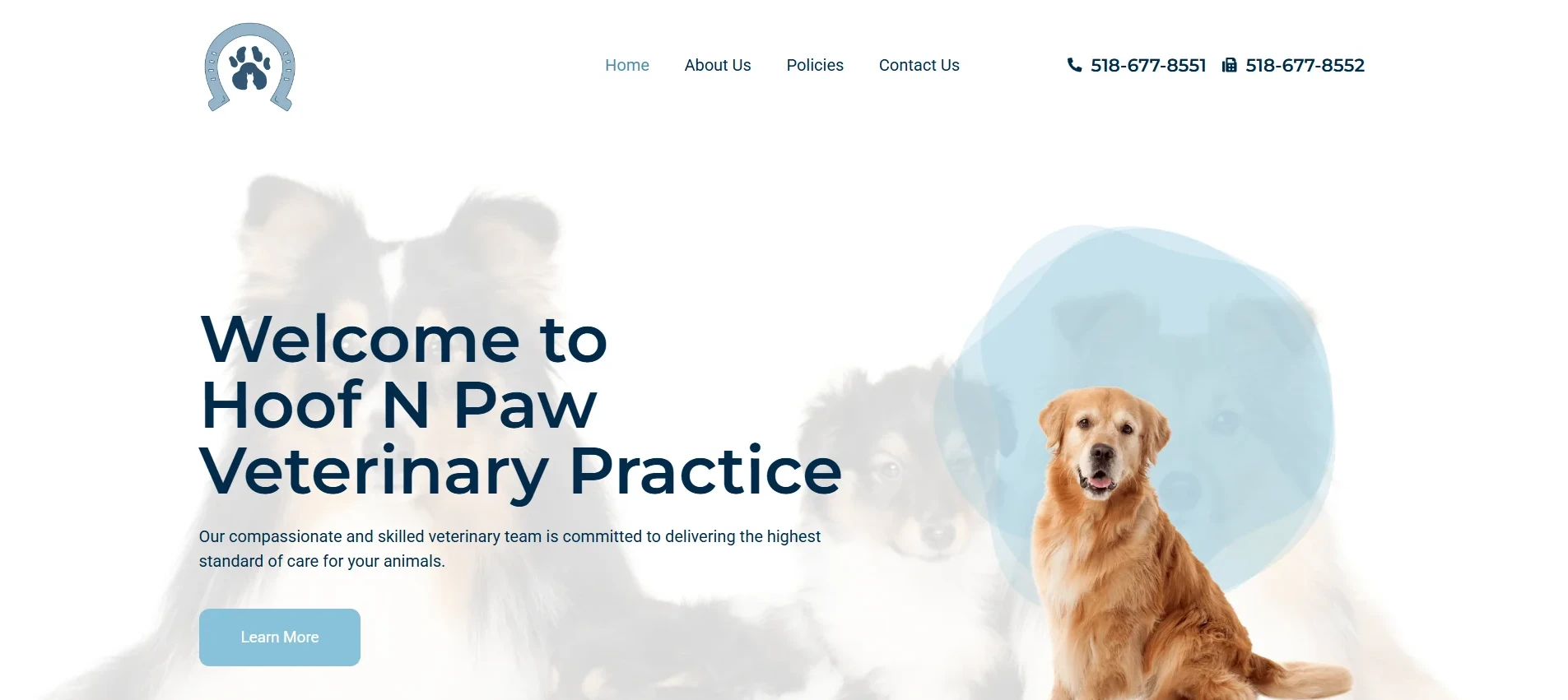 Hoof n Paw Veterinary Clinic